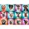2000 piece Jigsaw Puzzles - Funny dog portraits II, Pets Puzzle, Adult Puzzles, Trefl 27119